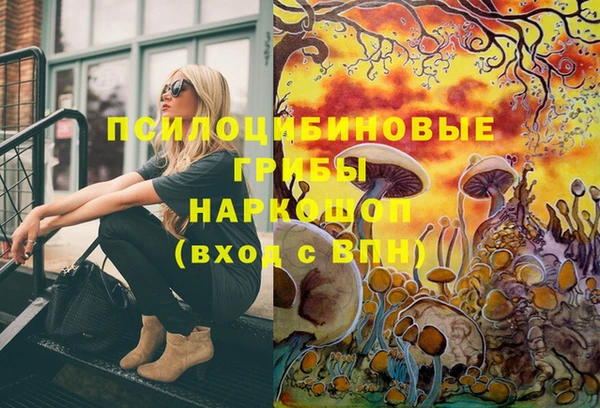 эйфоретик Баксан
