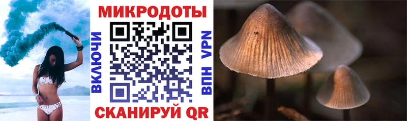 Галлюциногенные грибы Magic Shrooms  Холм 